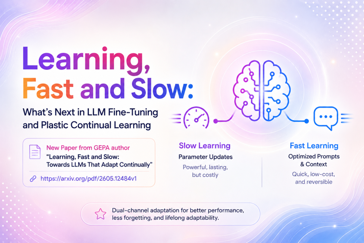 Learning, Fast and Slow: What’s Next in LLM Fine-Tuning and Plastic ...